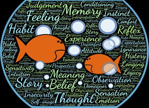 爱体育娱乐入口-法甲实际战术板使用率与胜率关系初步调查，法国套战术板